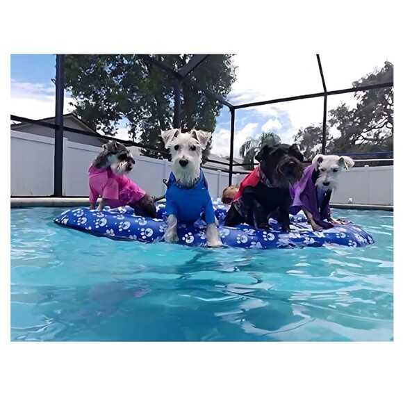 Dog Pool Float Inflatable Dog Floats for Pool Dog Floaties Swimming Pool Floa... - Picture 4 of 6